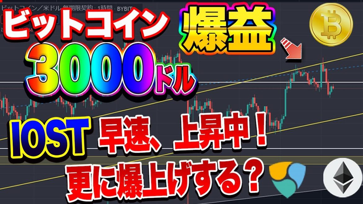 【仮想通貨】ビットコイン完全的中！爆益中！昨日上がったIOSTさらに爆上げする？