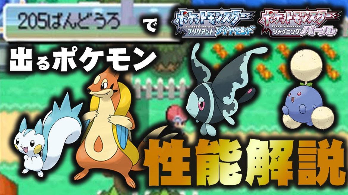 【ダイパリメイク】"205番道路"で出るポケモンの解禁後を徹底解説!!【ポケモン剣盾】