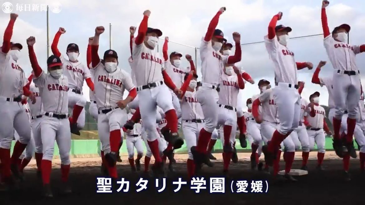 センバツ出場校決定　32校ダイジェスト