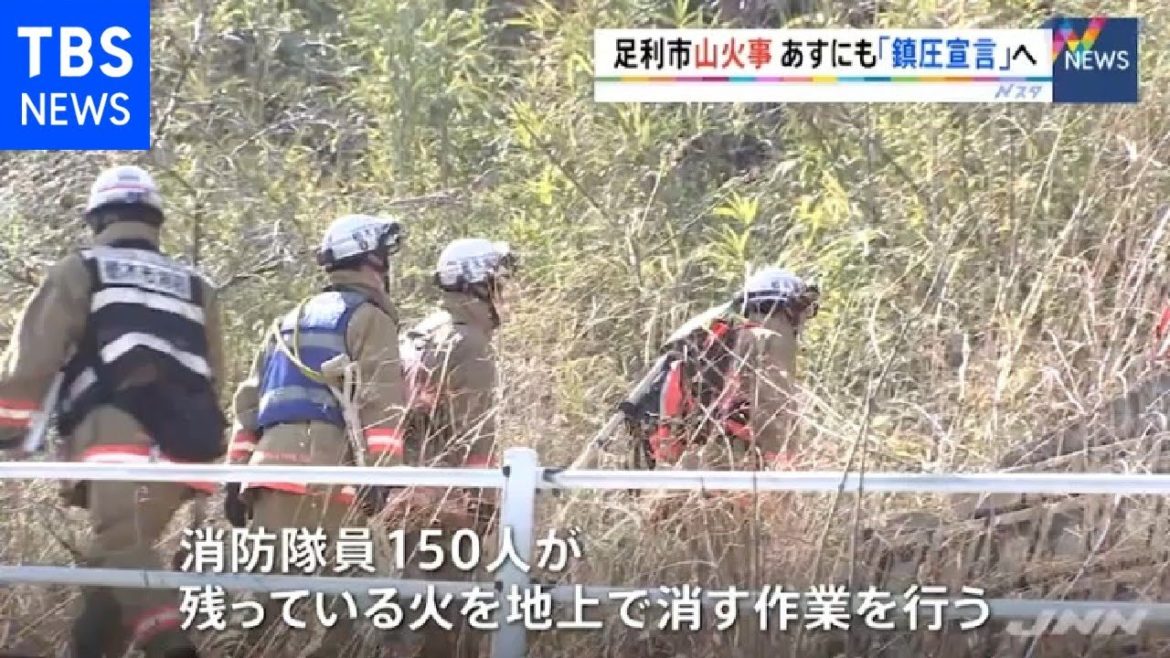 栃木・足利市の山火事  3月1日にも「鎮圧宣言」へ【Nスタ】 栃木・足利市の山火事  3月1日にも「鎮圧宣言」へ【Nスタ】
