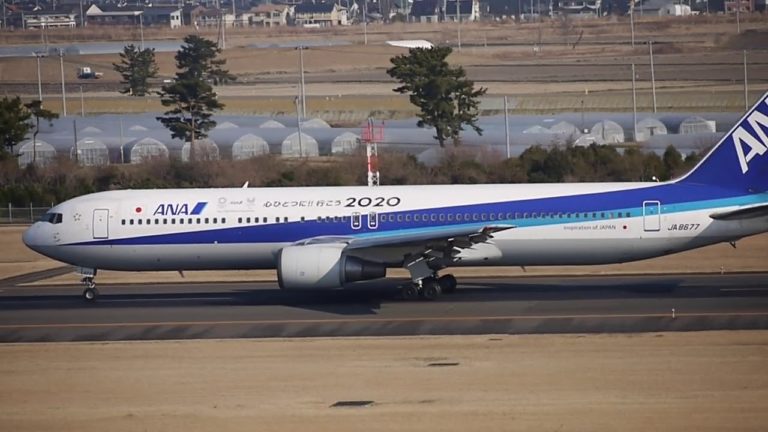 仙台空港 ana 大阪伊丹空港 特別デカール機 東京オリンピックパラリンピック 全日空 News Wacoca Japan People Life Style 仙台空港 ana 大阪伊丹空港 特別デカール機 東京オリンピックパラリンピック 全日空 News Wacoca Japan People Life Style