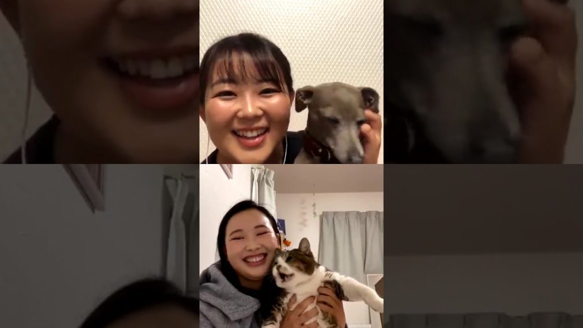 【小祝さくら 】🌸さくさき🌸インスタライブ 【淺井咲希】【黄金世代】