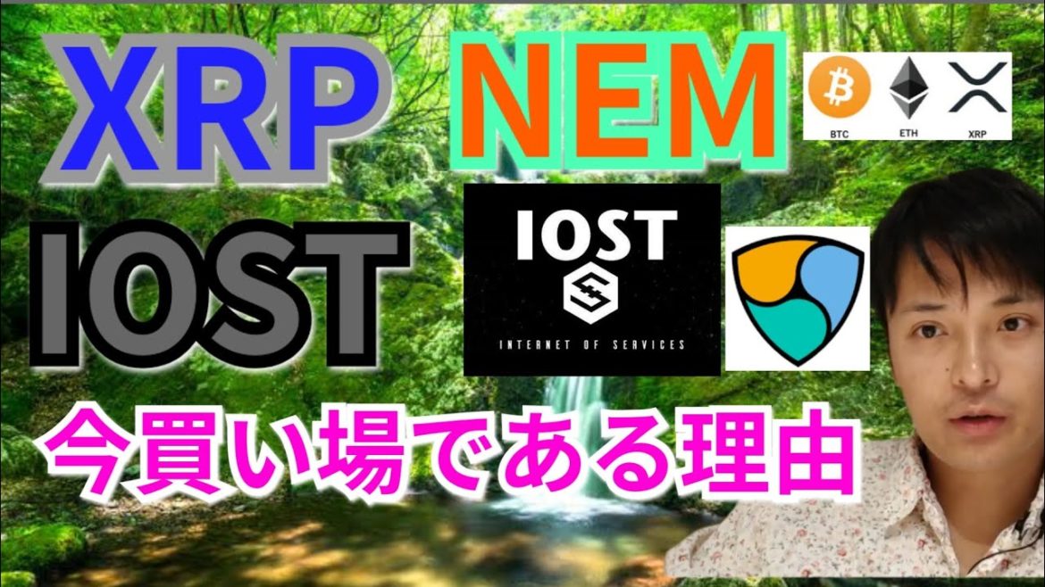 【仮想通貨BTC, ETH, XRP, NEM, IOST, ENJ】リップル、ネム、IOST,今が買い場の理由 【仮想通貨BTC, ETH, XRP, NEM, IOST, ENJ】リップル、ネム、IOST,今が買い場の理由