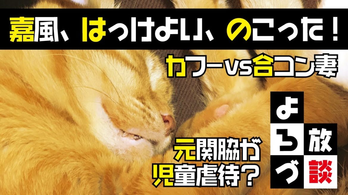 嘉風、はっけよいのこった！相撲・元関脇が児童虐待？カフー VS 合コン妻。アンジー社長と新入社員トミー「よろづ放談」