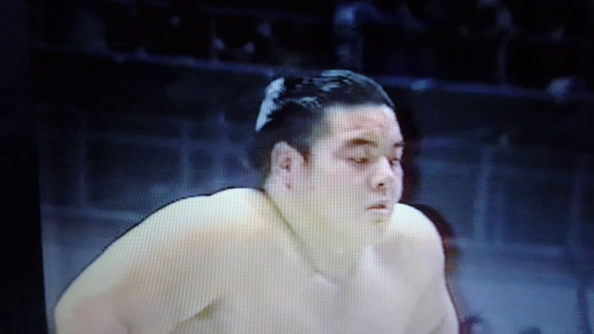 87大相撲ダイジェスト春場所8日目後半解説中村親方