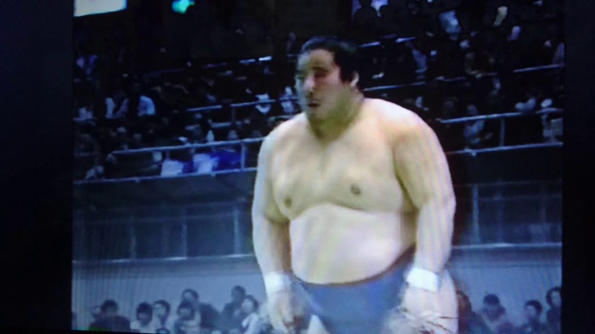 87大相撲ダイジェスト春場所8日目前半解説中村親方