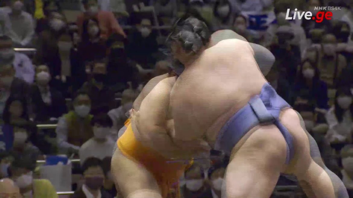 (NHK) Sumo Live Stream (相撲) - March Grand Sumo Tournament: 7nd Day