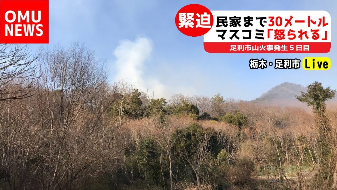 緊迫生中継！５０メートル先に迫る炎！足利山火事状況
