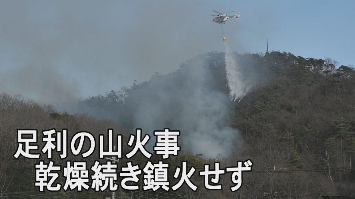 栃木・足利の山火事　乾燥続き鎮火の見通したたず
