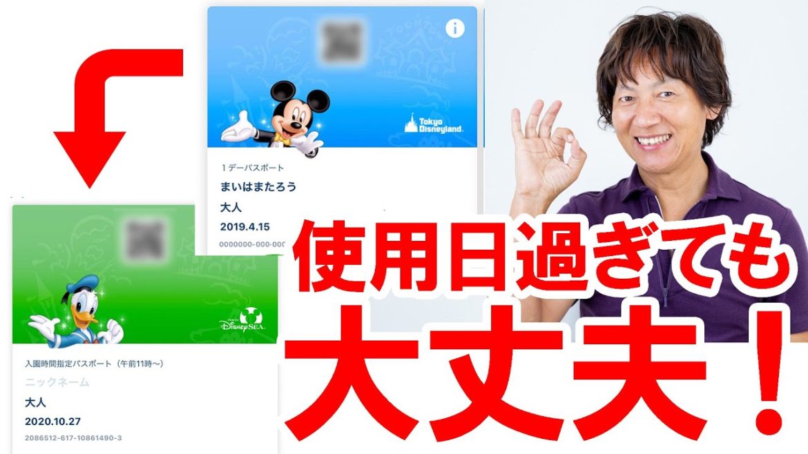 パークチケット/使用日を過ぎても未使用なら無料で日付変更できる(東京ディズニーリゾート) パークチケット/使用日を過ぎても未使用なら無料で日付変更できる(東京ディズニーリゾート)