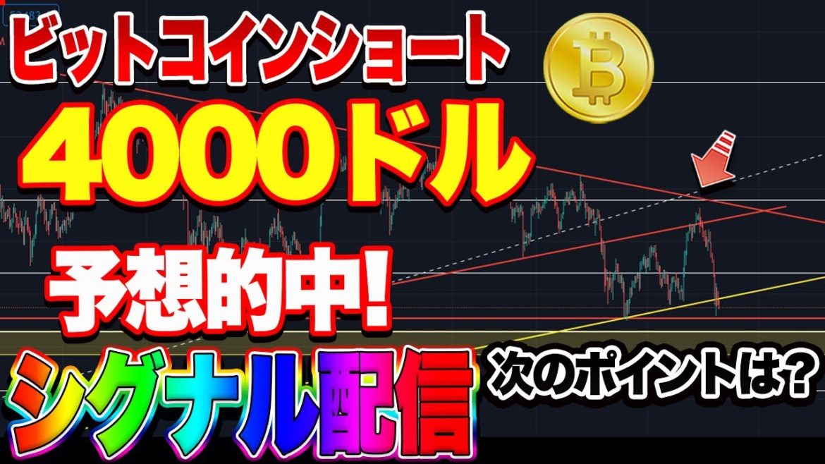 【仮想通貨】BTCショート完全的中！爆益シグナル配信！ENJコインは買いチャンス？自動売買システムは勝手に5万円増えてました！