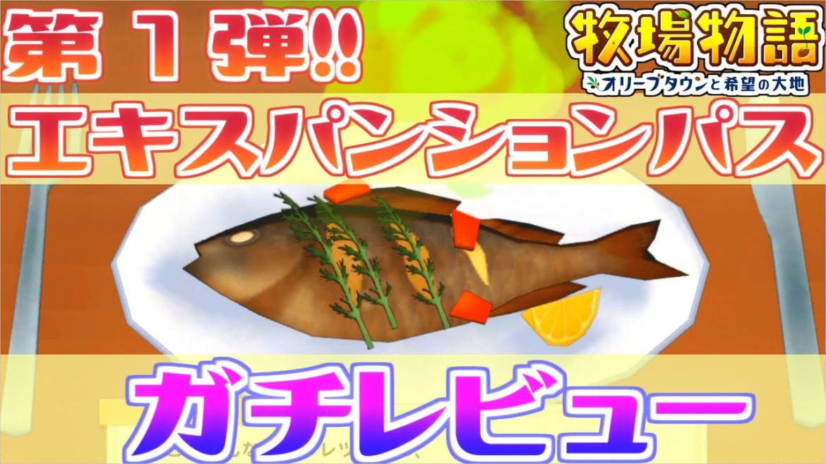 【牧場物語】エキスパンションパス第一弾完全レビュー【オリーブタウンと希望の大地】結局買い！？神ゲー？？内容は？忖度無しでガチレビュー