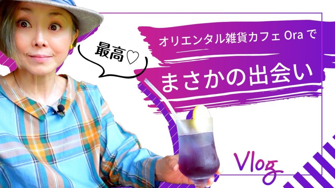 【Vlog】浜松 古民家カフェで、熊谷真実40年前のあのドラマの出演者に再会！
