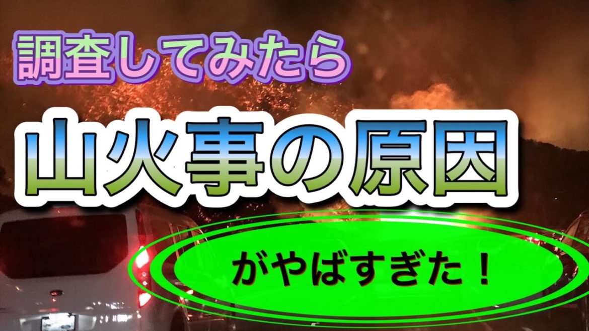 意外な『山火事の原因』がヤバすぎた！！【山火事の原因】
