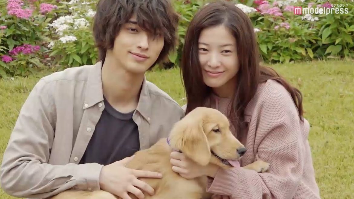 横浜流星＆吉高由里子、映画「きみの瞳が問いかけている」爽やかなオフショット満載のメイキング特典映像