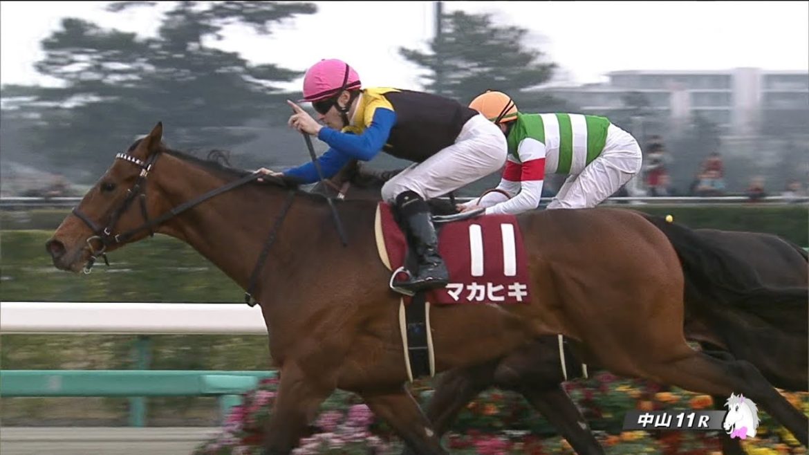 2016/03/06 第53回 弥生賞(GⅡ)【マカヒキ】 2016/03/06 第53回 弥生賞(GⅡ)【マカヒキ】
