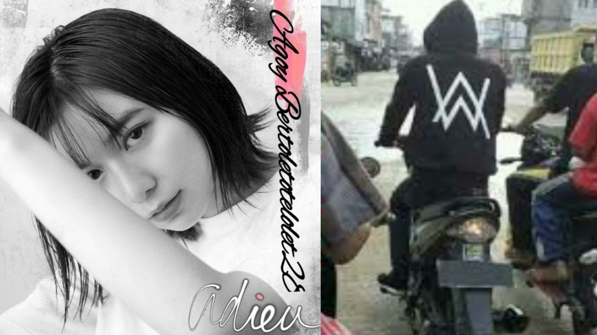 adieu [上白石萌歌] vs Alan Walker - yassashikimochi [やさしい気持ち) vs On My Way (AgoyBertoletotelolet28Mashup)