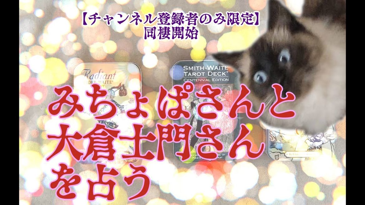 【タロットで仲良く】みちょぱさんと大倉士門さんを占う【申し訳ないが最善策は・・・】