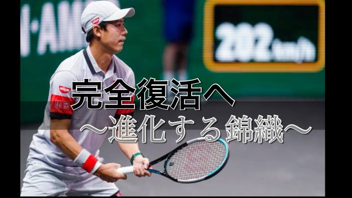 【テニス分析】錦織圭の新スタイルを徹底分析！　目指すはフェデラー！？ 錦織圭 vs デミノー