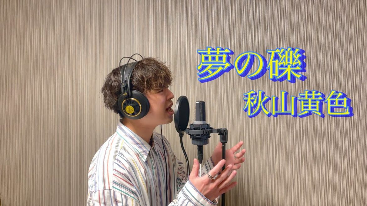 夢の礫 / 秋山黄色【cover】奥田翔