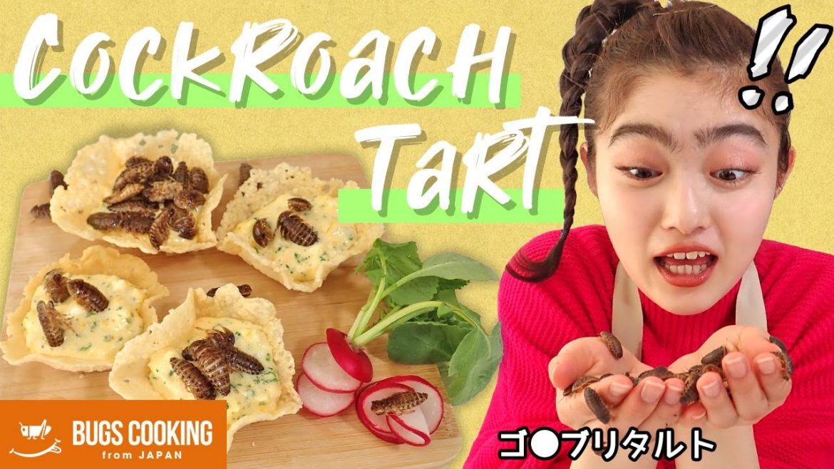 ゴキブリ タルト|昆虫食|井上咲楽 ゴキブリ タルト|昆虫食|井上咲楽