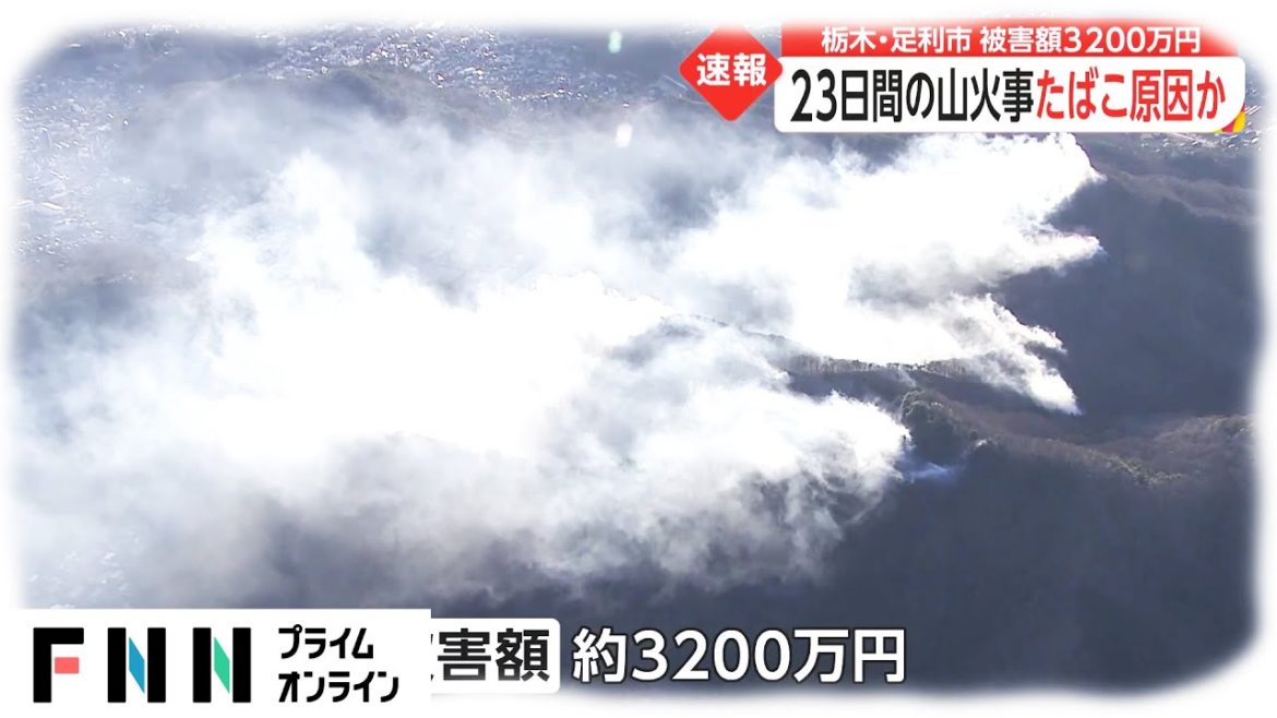 23日間の山火事たばこ原因か　栃木・足利市 被害額3200万円