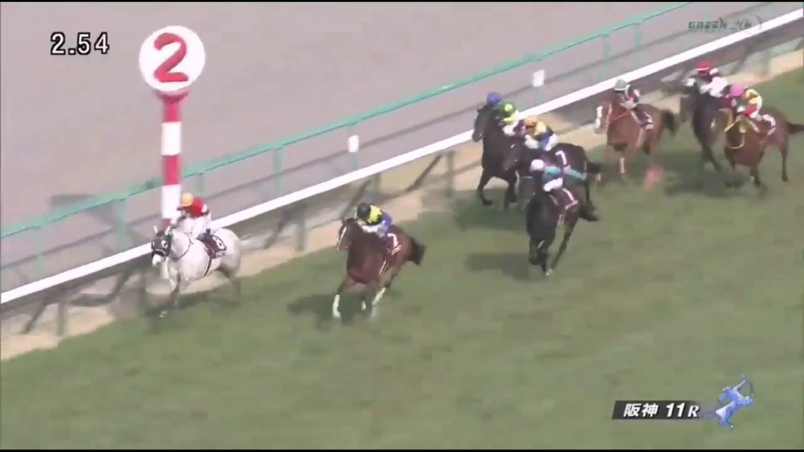 阪神大賞典 過去5年最後の直線(2015~2019)