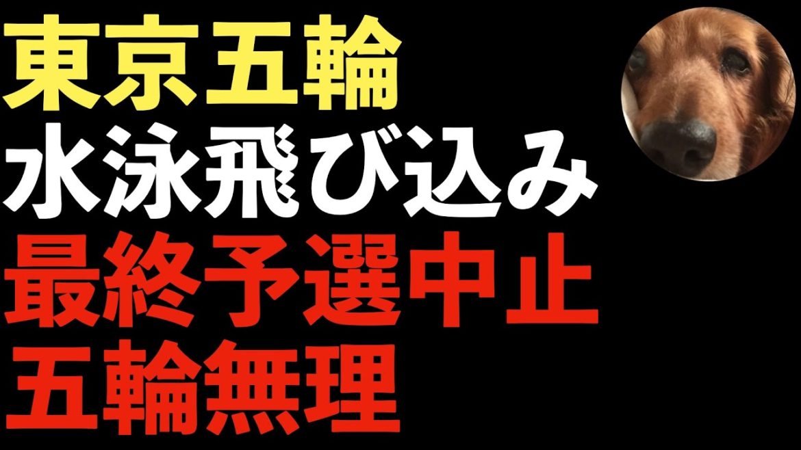 水泳飛び込み東京五輪最終予選が中止へ！日本政府の怠慢と準備不足！ブラジルでは8割の選手選考が未定！【Masaニュース雑談】