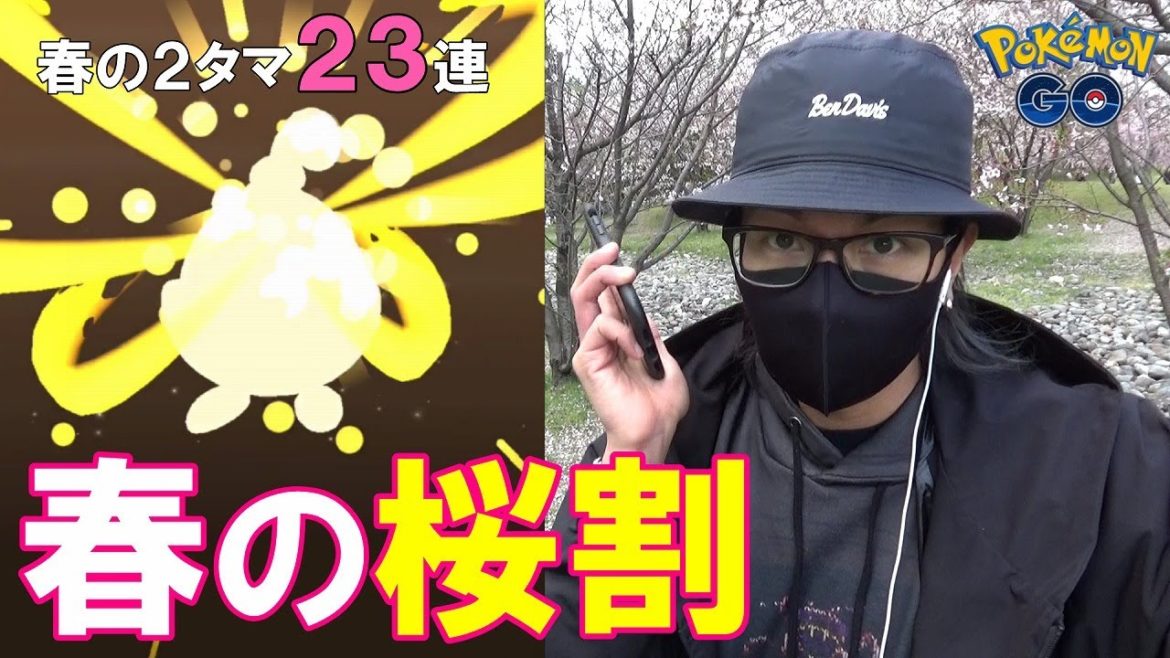 【ポケモンGO】激レアを狙う春の2タマ23連！色違えピンプク＆ワシボン！桜舞い散る聖地で魅せる「逆襲のクイックブラインドゥ」!！【春イベント2日目】