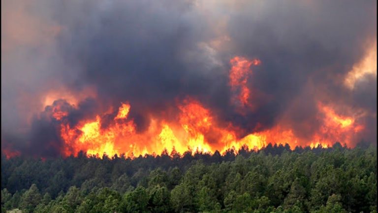 足利 山 火事 足利の山火事を鎮圧 発生9日目、106ヘクタール焼失：朝日新聞デジタル