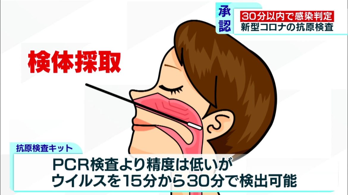 新型コロナ「抗原検査」を承認　30分以内で判定可能に