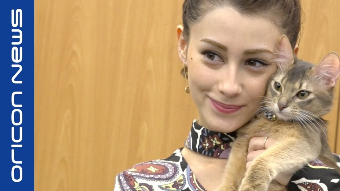 【インタビュー】ダレノガレ明美が“猫愛”語る　動物愛護への尽力も宣言