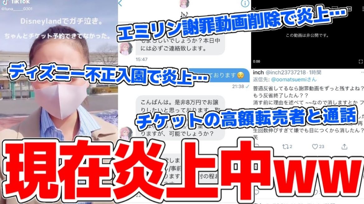 エミリン謝罪動画削除で炎上…アイドルのライブチケットを20倍の値段で売る転売屋とガチ喧嘩、ディズニー不正入園疑惑のtiktoker