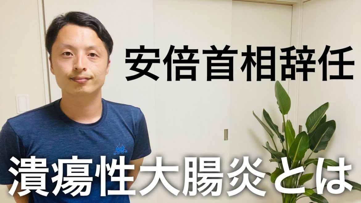 【安倍首相辞任】潰瘍性大腸炎の恐ろしい症状とこの難病を克服した方法。僕の病気について。