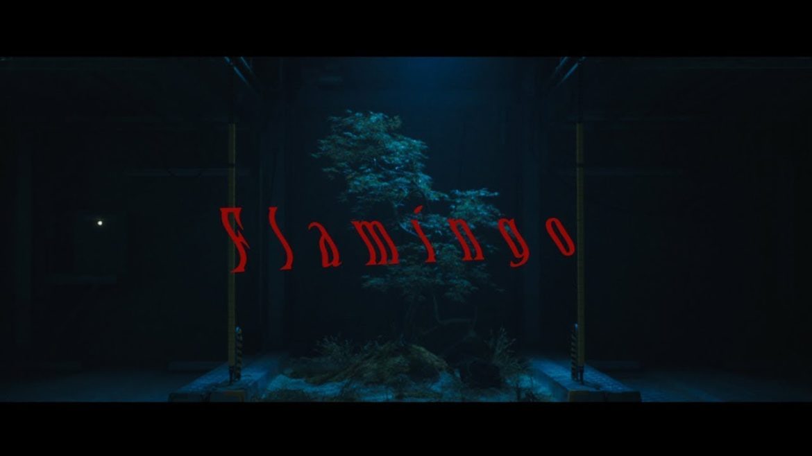 米津玄師 MV「Flamingo」