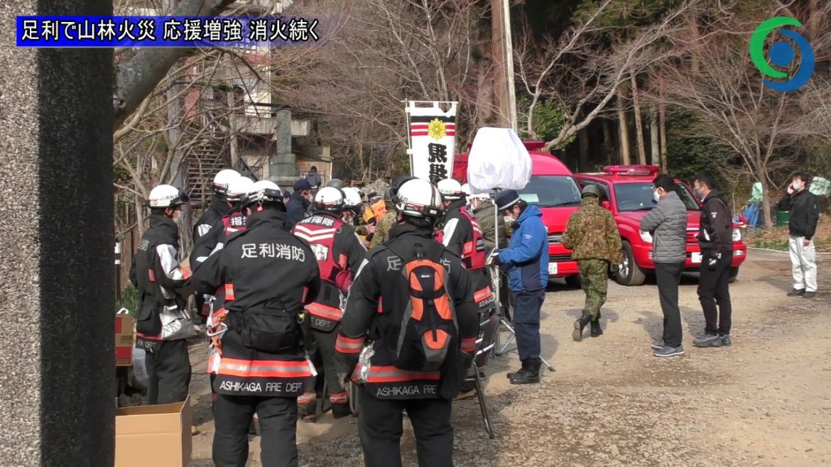 山林火災 消火活動続く 足利