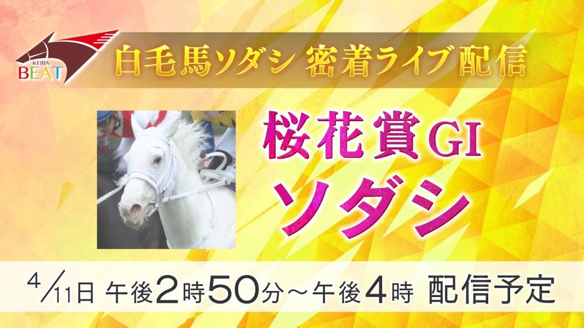 【11日(日)午後2時50分頃】白毛馬初のクラシック制覇なるか！無敗の2歳女王ソダシに完全密着