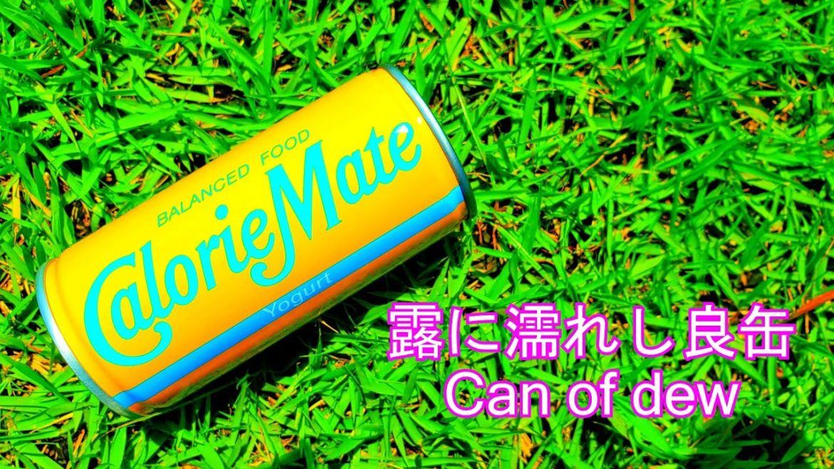 大塚製薬 カロリーメイト ヨーグルト味 / Calorie Mate Yogurt