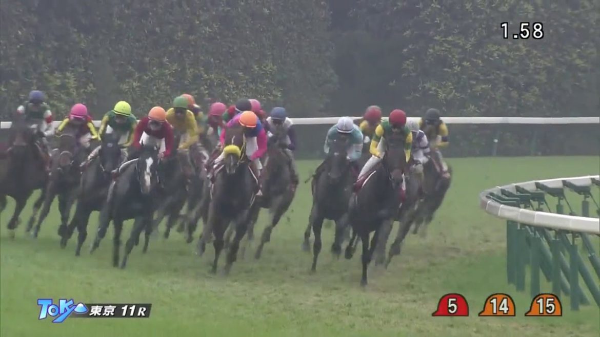 【競馬】G２アルゼンチン共和国杯2016〜2012過去レース