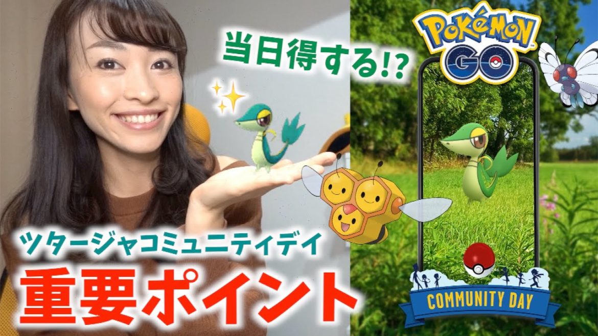 これで完璧!!ツタージャコミュニティデイをガチるための重要ポイント!!【ポケモンGO】 これで完璧!!ツタージャコミュニティデイをガチるための重要ポイント!!【ポケモンGO】