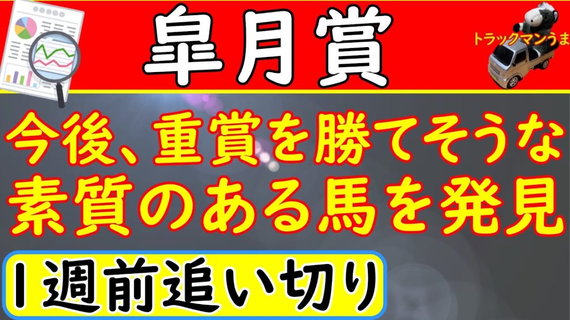 皐月賞2021年の1週前追い切り診断!予想オッズ上位馬を分析しました 皐月賞2021年の1週前追い切り診断!予想オッズ上位馬を分析しました