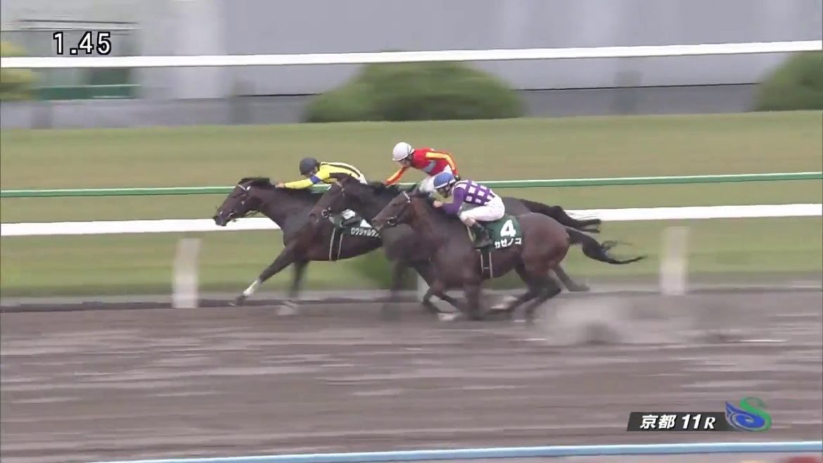 【競馬】G３みやこステークス2016〜2012過去レース