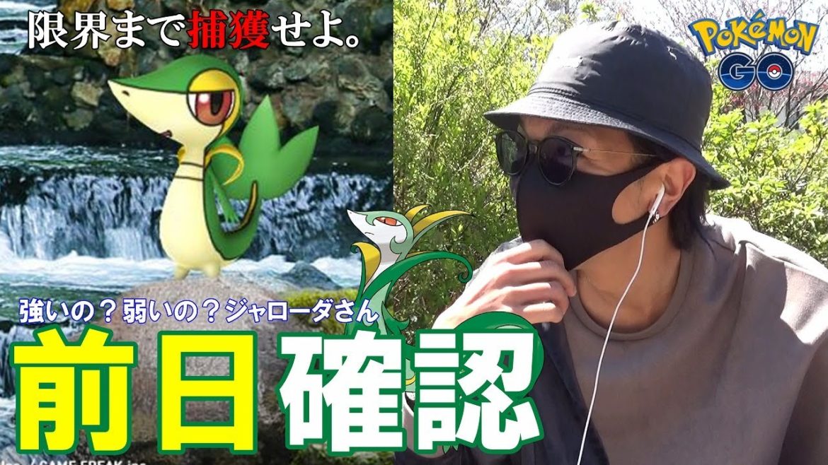 【ポケモンGO】捕獲に心臓を捧げよ!ツタージャのコミュニティデイ前日確認!最強の草技「ハードプラント」を覚えたジャローダ様を召喚せよ!【すな3倍】 【ポケモンGO】捕獲に心臓を捧げよ!ツタージャのコミュニティデイ前日確認!最強の草技「ハードプラント」を覚えたジャローダ様を召喚せよ!【すな3倍】