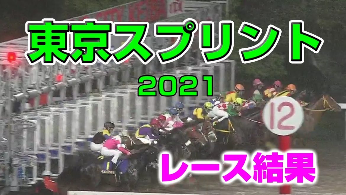 【地方競馬】東京スプリント2021：レース結果【大井競馬場】1番人気リュウノユキナ・2番人気サブノジュニア