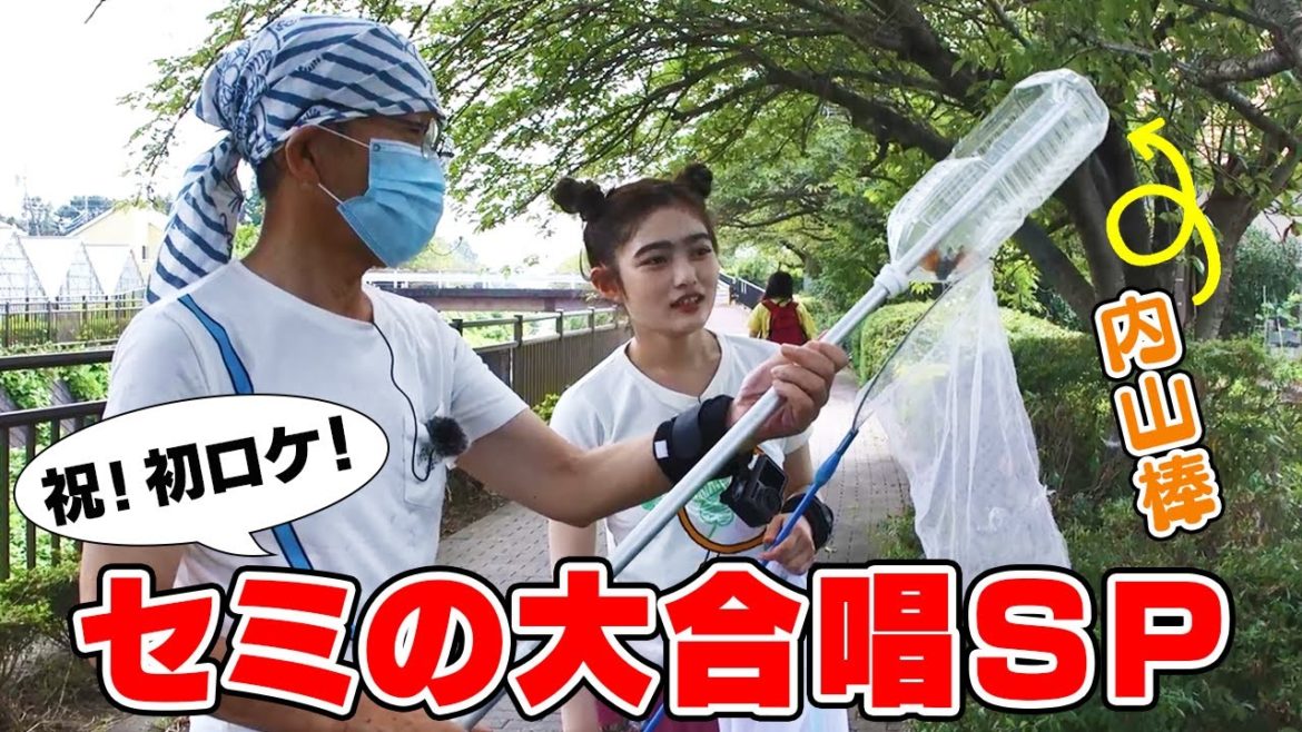 内山棒！？自分で捕ったら100倍おいしいセミとり！｜昆虫食【昆虫採集｜井上咲楽】