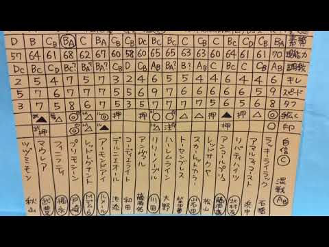 敗因。勝因。結果分析。「桜花賞 2018」 敗因。勝因。結果分析。「桜花賞 2018」
