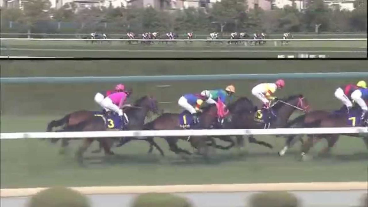 2012/04/08 第72回 桜花賞（GⅠ）【ジェンティルドンナ】