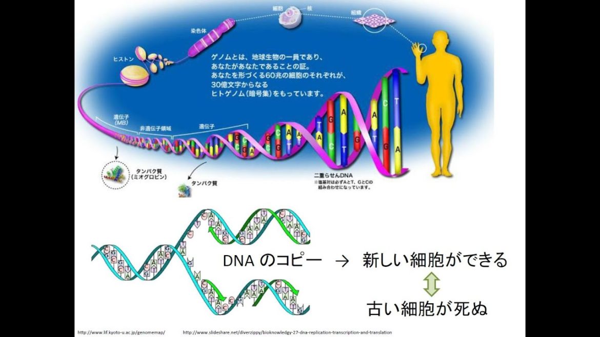 原発ミニ講座　第２回　トリチウム　2014年12月6日