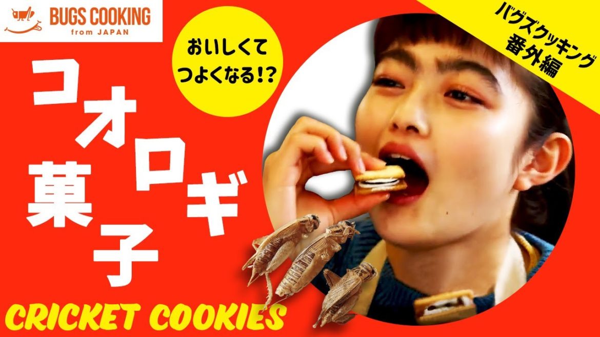 内山昭一、井上咲楽の休憩、、、コオロギ菓子 内山昭一、井上咲楽の休憩、、、コオロギ菓子