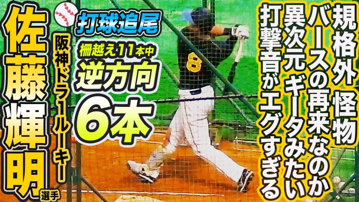 見ればわかる想像以上のヤバさ！佐藤輝明選手 逆方向への伸びがエグい！打撃練習 なんと柵越え11本中逆方向へは6本！Teruaki SATO